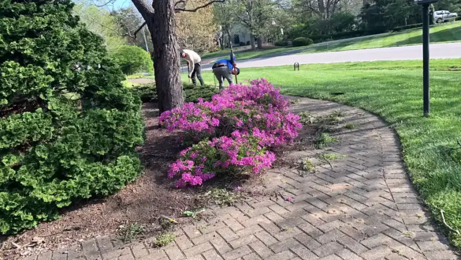 Mulching, Planting & Bed Maintenance