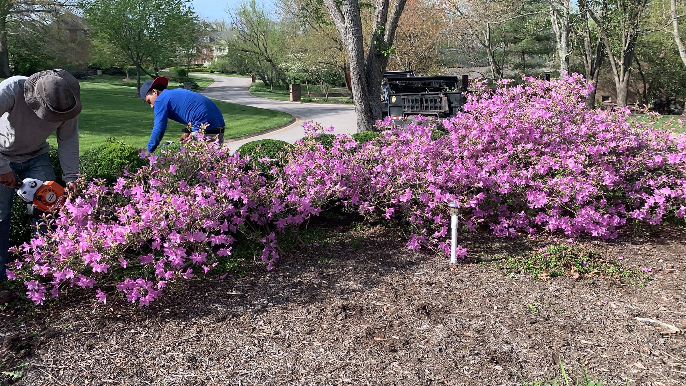 Maintenance Standard Finish - Image 3