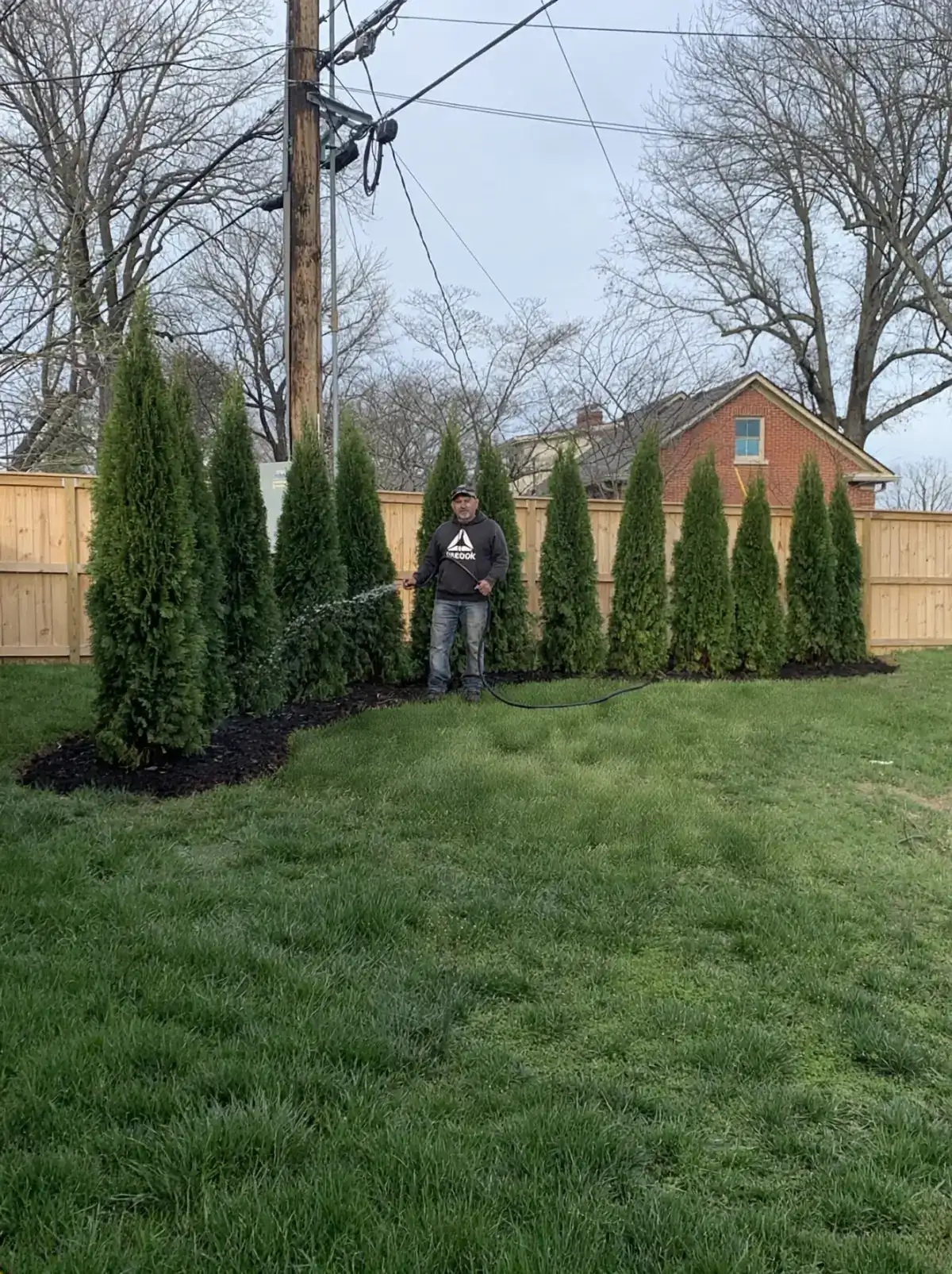 Privacy Tree Installation