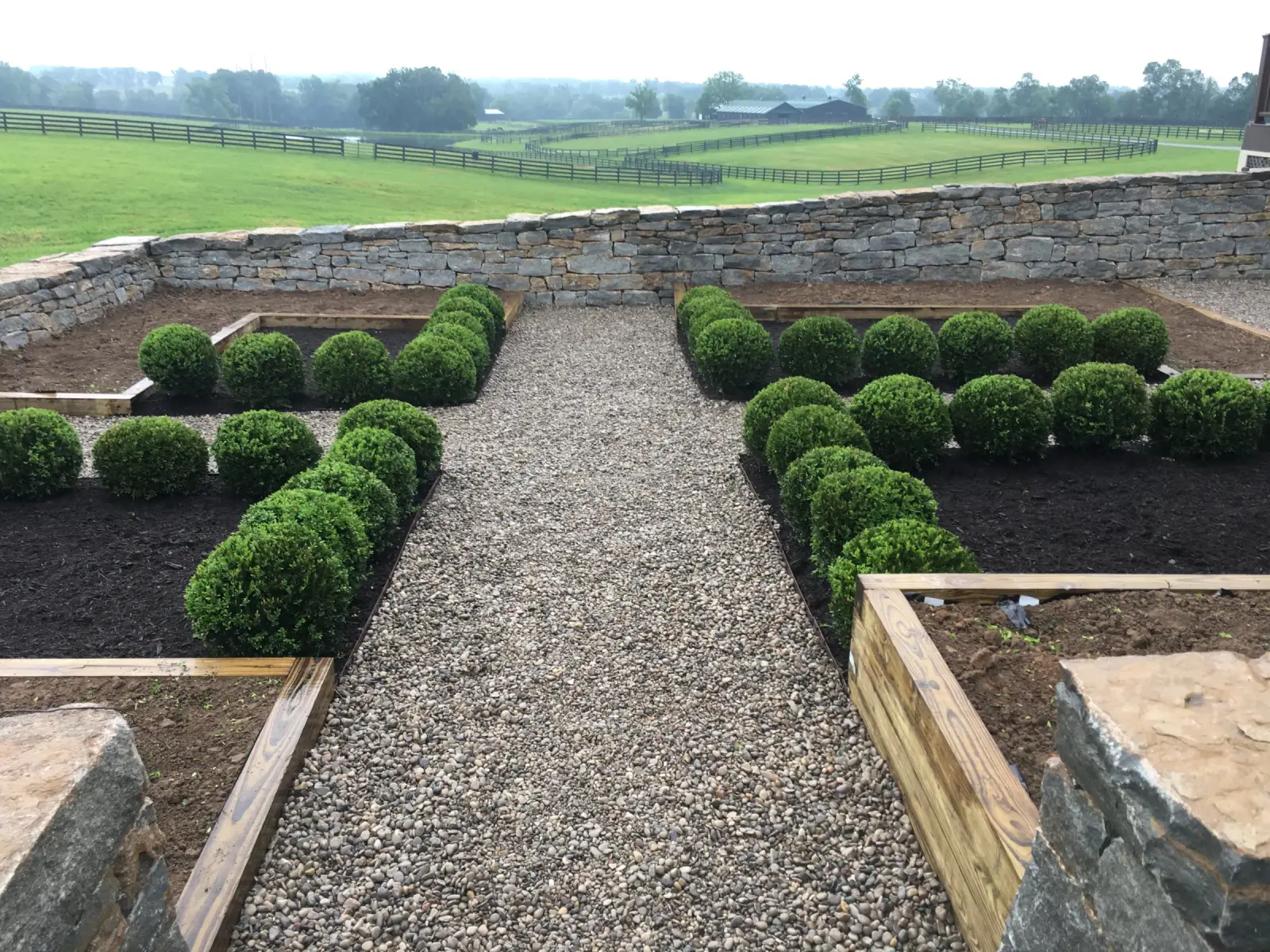 Symmetrical boxwood courtyard with clean gravel path and crisp bed lines
